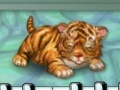 Gra My tiger