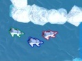Gra Polar Bear Racing