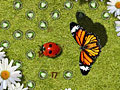 Gra Bug Off