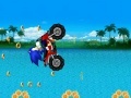 Gra Sonic Ride