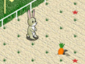 Gra Animal 4 Steps