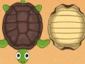 Gra Guess the turtle