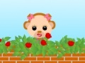 Gra My Love Rose