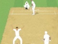 Gra Cricket Umpire Decision