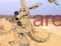 Gra Musical kangaroo