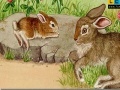 Gra Rabbits at the farm puzzle 
