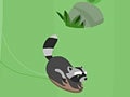 Gra Feral Slalom