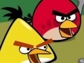 Gra Memory - Angry Birds
