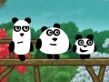 Gry Trzy Pandy